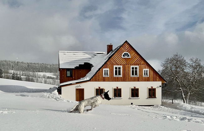 V Chov nad Jizerou Lvv033 - Photo 65