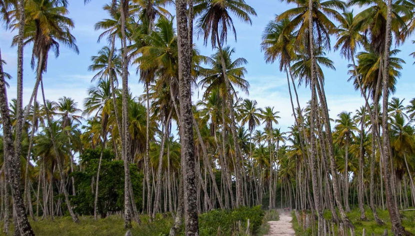 Pendant l’activité
