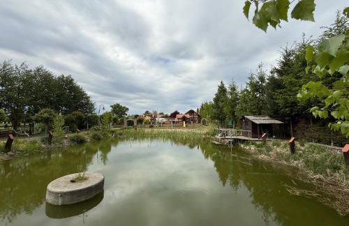 Agroturystka Jaśkowo - Foto 31