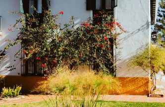 Hacienda Clavero Four Garden Apartment - Photo 43