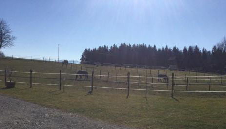 Hof Pferdeglück - Foto 3