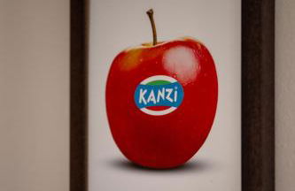 Untermoarhof Albeins - Foto 35