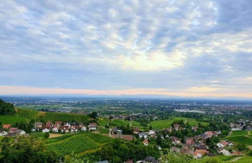 Studio-Apartment mit Garten, Parkplatz & Küche - Foto 18