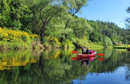 Pod Stromcem - Foto 38