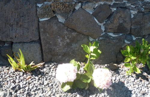 Casas Alto da Bonança - Photo 36