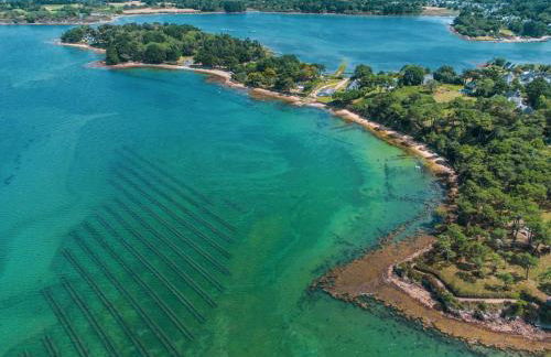 Plein sud - Golfe du Morbihan - Foto 18