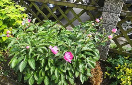 Ferienwohnungen Haus Christine - Foto 24