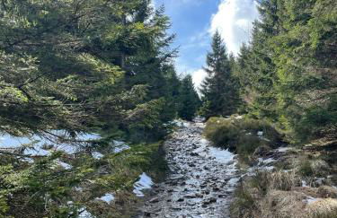 Apartment Beletage Bad Harzburg - Foto 48