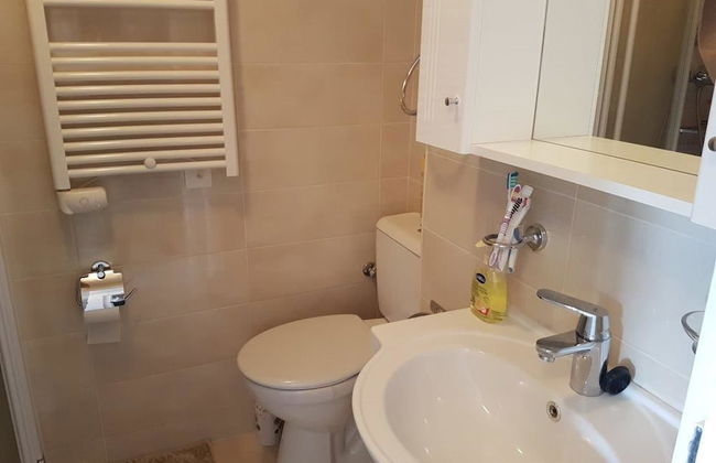 Grifo Vacances Pie de Pistas - Foto 33