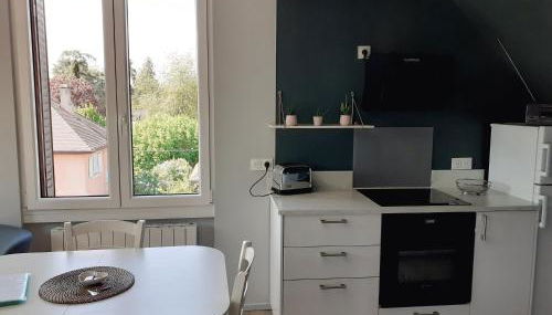 CHARMANT APPARTEMENT à 150 M des THERMES et du CENTRE VILLE - Photo 3, stove, dishwasher, toaster