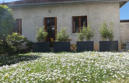 Maisonnette au bord du Sierroz - Photo 11