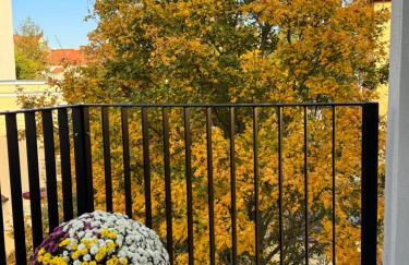 Carl von Rosé - Foto 15