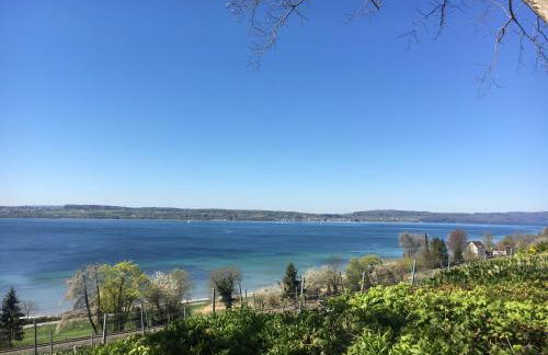 Lieblingsnest - Foto 25