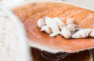 Dream House Efi - Foto 34