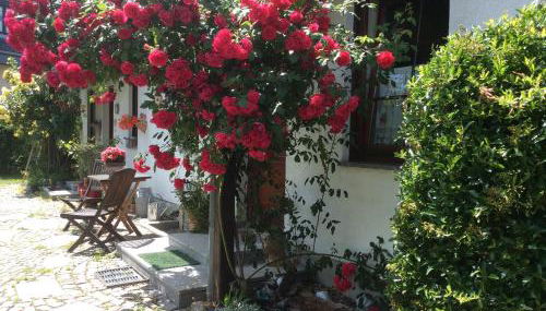 Ferienwohnung Sonne-Stadtrand Dresden - Foto 2