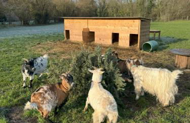 Domaine Saint Jean - Foto 21