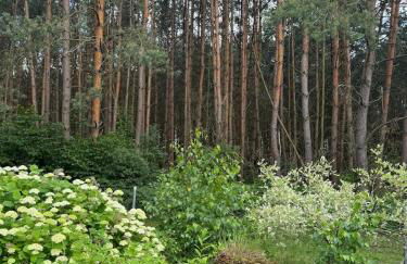 Country house villa near Berlin - Foto 9