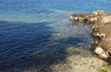 Apartments Hortenzija - Photo 9