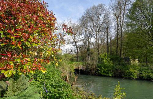 The Old Library - Foto 14