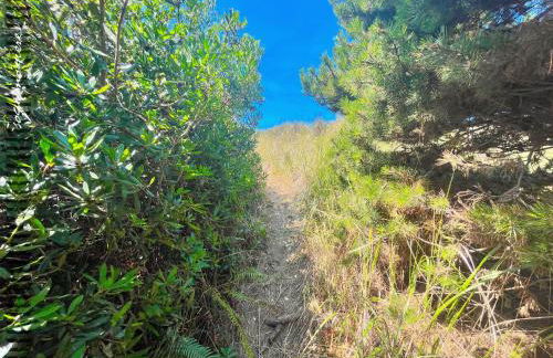 Tide Pool Cabin, a Soquinomere Private Hotel on the Dunes, Downtown Ocean Shores - Foto 45