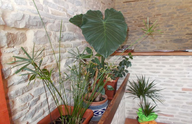 Agriturismo Ercolana - Photo 3