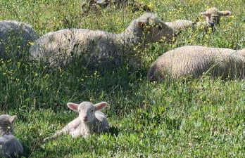 Quinta da Utopia - Foto 55