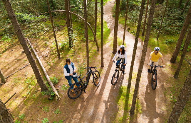 Sunparks Kempense Meren - Foto 28