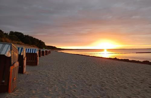 Ferienwohnung BoddenBee - Foto 10