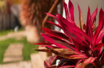 Vila Mundaí - Foto 47