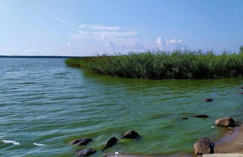 Holiday cottage near the lake, Osieki - Foto 19