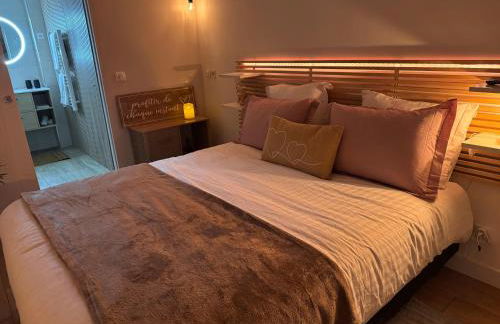 Perle Dazur Jacuzzi Suite Parking Prive 5min Mer - Foto 25