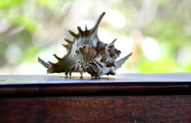 Sejuk Beach Villas - Foto 51