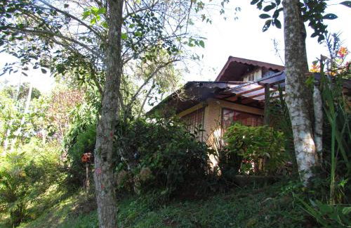 Chalé Pakere Montanha Lumiar - Conforto a mais de 1000 metros de altitude junto a natureza, wifi, piscina, sauna e água de nascente - locação do chalé sem prestação de serviços - Foto 5