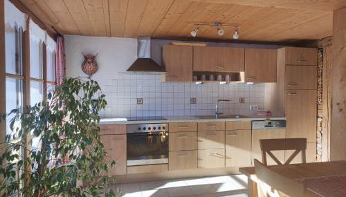 Ferienhof beim Bohlar - Geiselstein - Foto 4, stove, dishwasher