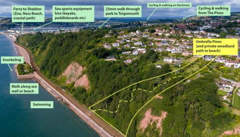 Umbrella Pines - Foto 4