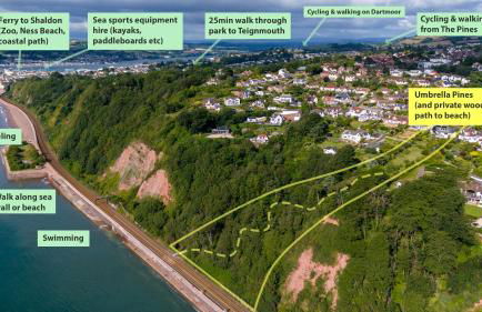 Umbrella Pines - Foto 4