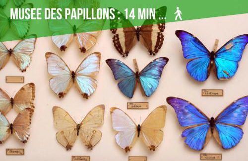 Comme à la maison - BASILIQUE - Foto 57