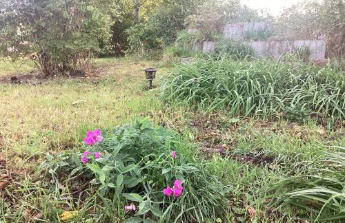 Gästehaus Lauerwald - Foto 17