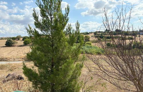 Urban Gaia Apartment - Photo 11