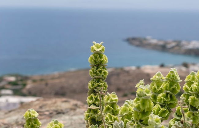 Luxury Villa With Pool And Sea View..! - Foto 61