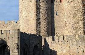 à 5mn de la réserve Africaine, charmante maison de village avec patio - Foto 20