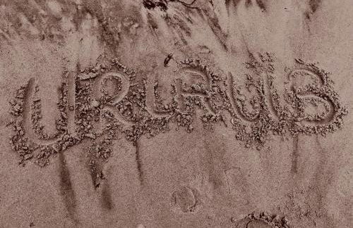 FeWo No.18 - Photo 30