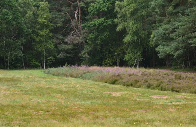 12 Person Holiday Home in Ega-by Traum - Foto 8