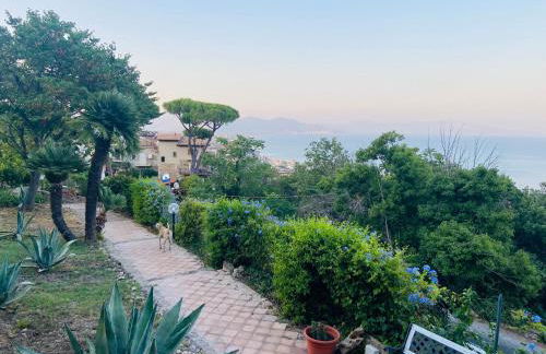 Ippocampo Blanc - Foto 9