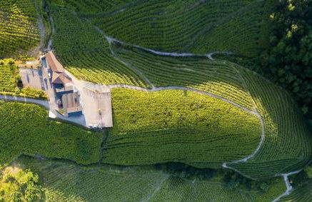 Ameztoi Experience - Foto 30