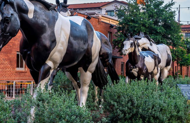 4 Queen Beds High Speed Wifi Private Parking - Foto 66