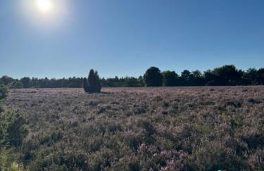 Ferienhäuser Wintermoor - Foto 12