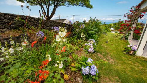 Casa Amaral - Photo 2, Garden