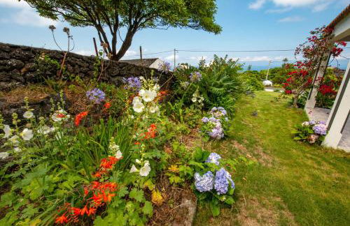 Casa Amaral - Photo 2