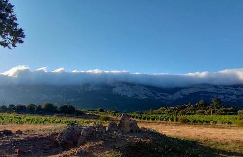 Zaldivar etxea - Foto 17